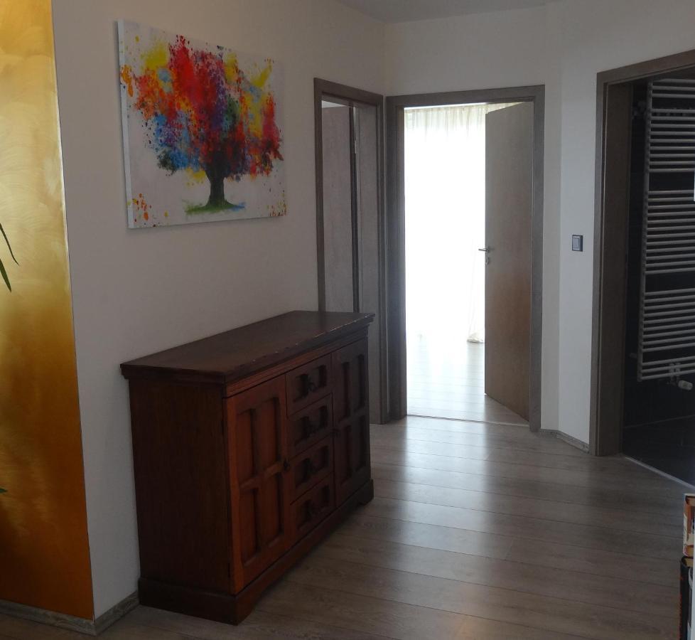 Ferienwohnung Schwarzwald-Baar Blick Donaueschingen Extérieur photo